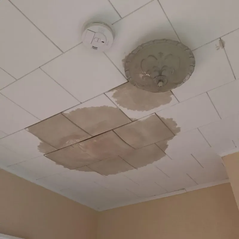 Ceiling Water Damage Repair in Rutherford, PA