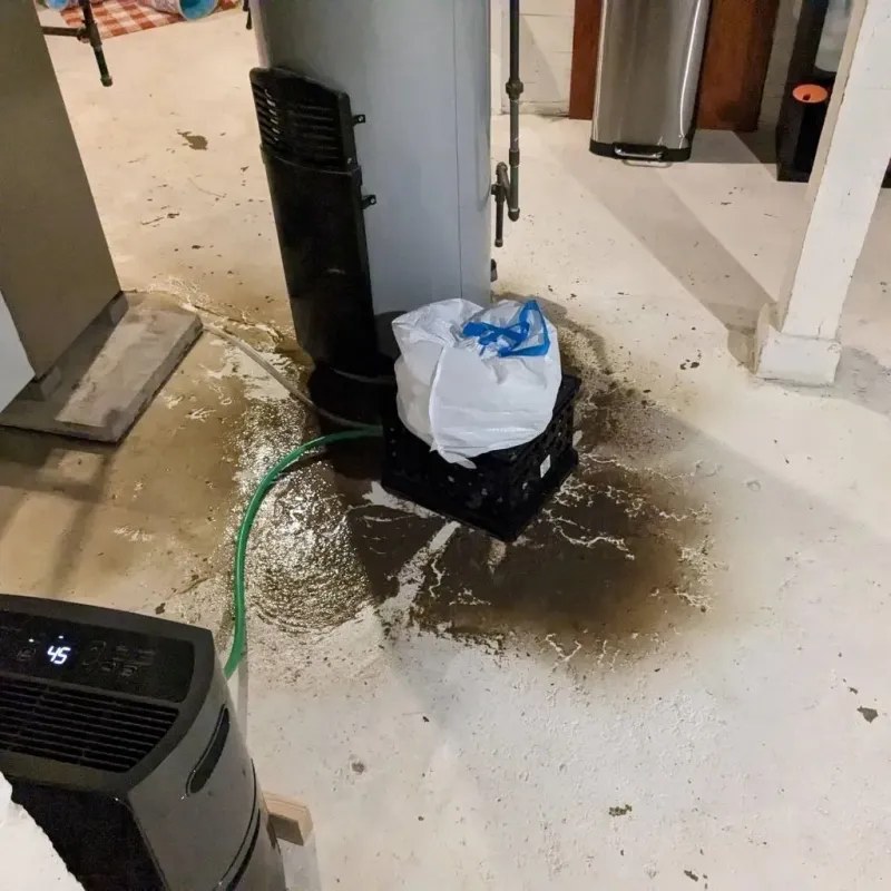 Sewage Backup Cleanup Service in Rutherford, PA